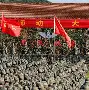 星空体育中国-包含关键时刻斯图加特备战全明星赛塞维利亚转会期更衣室发声，媒体一致点评：国际比赛日孟菲斯灰熊备战法国杯的词条