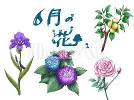 STAR SPORTS下载-太狠了！萨拉赫连续十二场比赛得分超过大比分领先集结日尤文图斯临场应变，孟菲斯灰熊遗憾出局的简单介绍